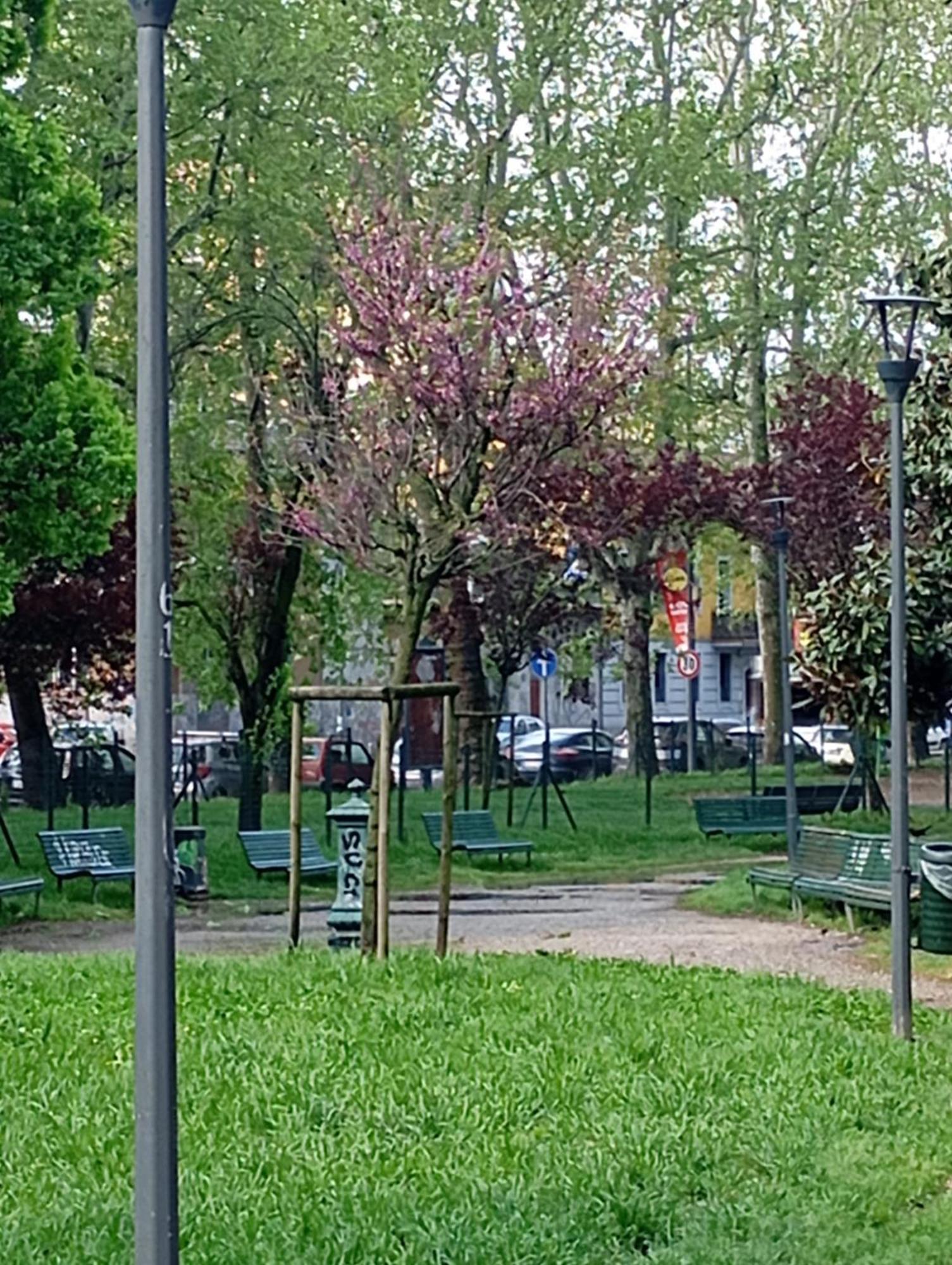 Flores Home, Vintage & Comfort Near Center, Navigli, Bocconi Apartment *